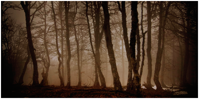 otrobosque